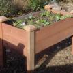 Raised Planter Box
