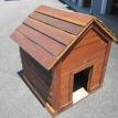 Dog House